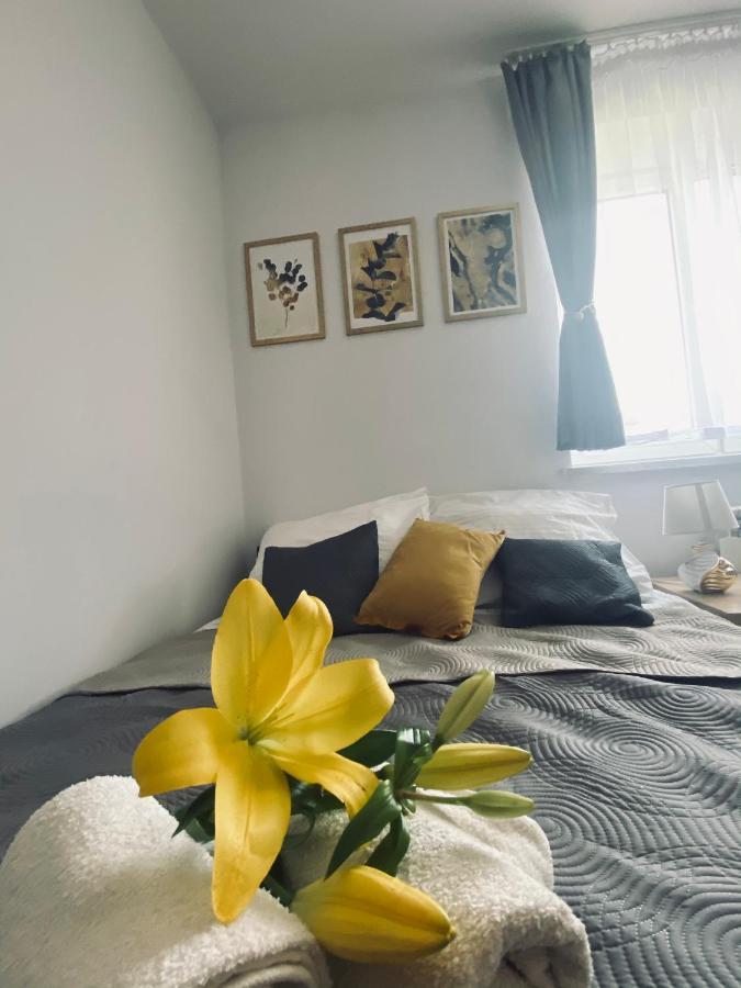 Apartamenty Majka Zator Ngoại thất bức ảnh